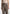 high-waisted-tailored-trousers-dark-taupe