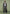 eli-harrington-jacket-grey