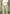 henri-foldover-trousers-sage