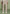 louis-relaxed-fit-belted-tailored-trousers-beige