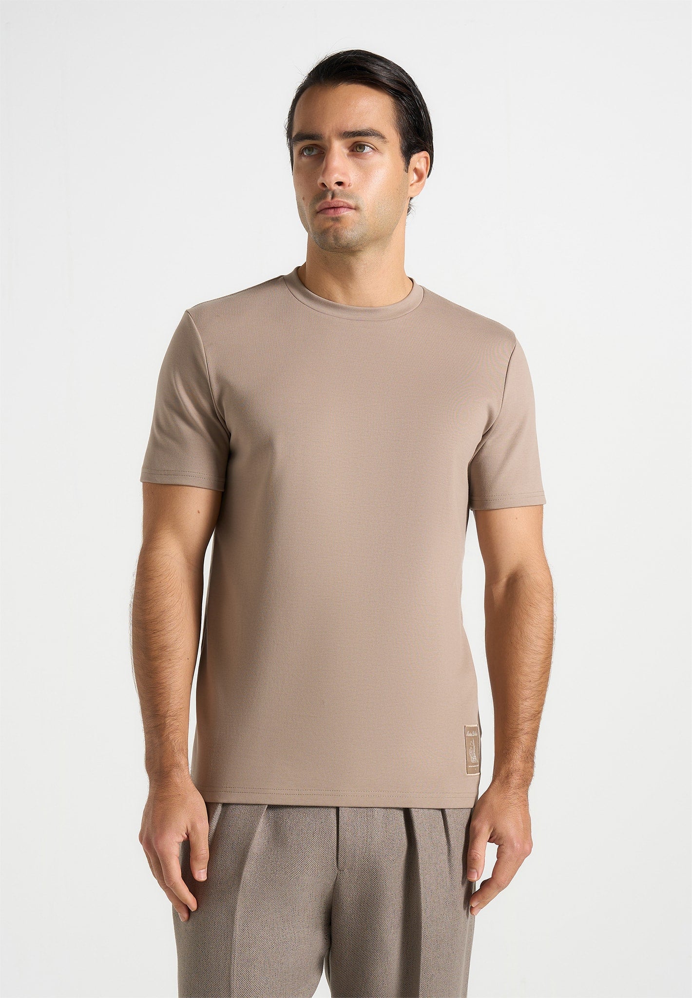 TS002 - Regular Fit Cotton T-Shirt - Taupe