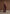 tailored-twin-pleat-trousers-wine-red