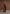 julie-tailored-twin-pleat-trousers-wine-red