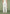 isabelle-tailored-belted-strap-detail-trousers-off-white