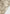 high-waisted-camo-cargo-pants-beige