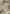 high-waisted-camo-cargo-pants-beige